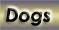 dogs