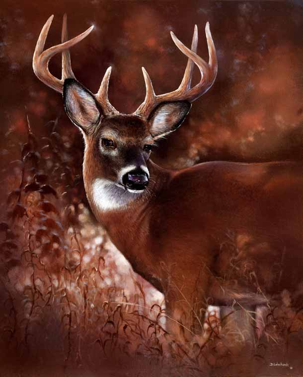 Buck