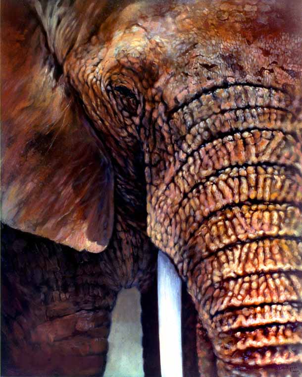 Elephant