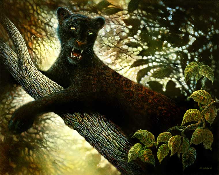 Jaguar