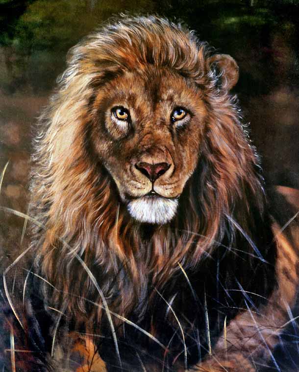 Lion