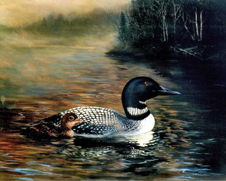 Loon