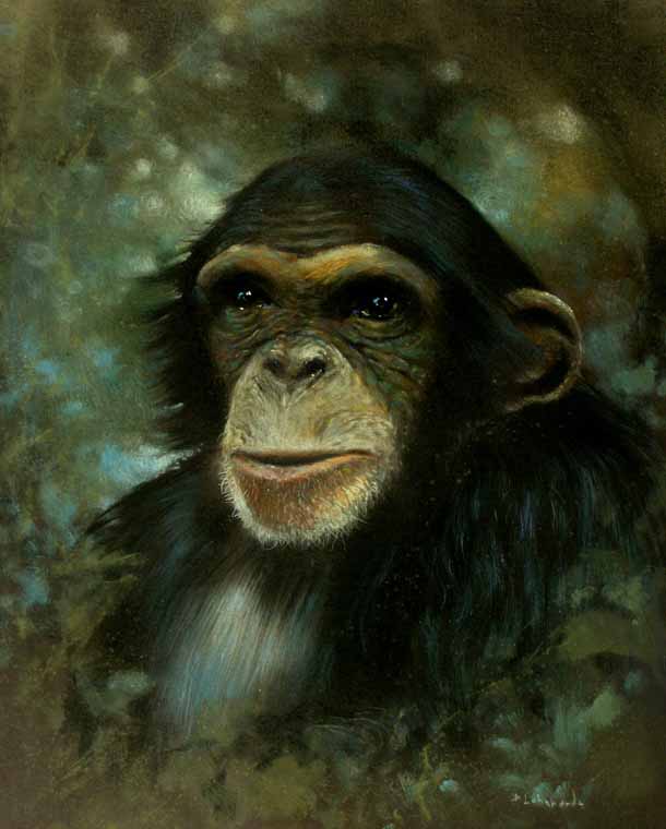 Monkey