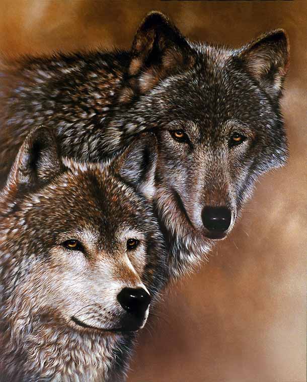 TimberWolves