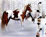 Farm & Horses